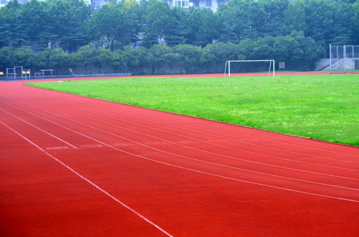 Sports Field Free Stock Photo - Public Domain Pictures Sports Field Free Stock Photo - Public Domain Pictures